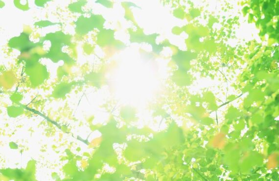 【大阪市】週に2時間副業するだけで生活が豊かになりました│ライフセレクト